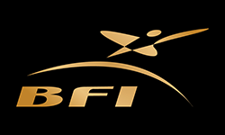 BFI Groupe